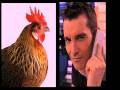 ZOOFILIA-CON-GALLINA