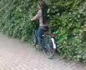 Mel rijdt de bosjes in