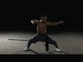Shaolin Warrior -  Fighting Punches And Kicks