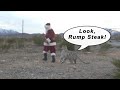 Santa Vs White Tiger