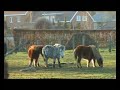 De mooiste plekjes van Hulsen