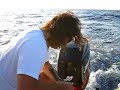 TUNA1 TUNA1