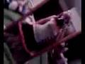 videos de bang bang boom