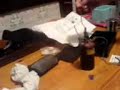 Home made stun gun! Home made stun gun!
