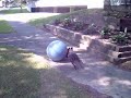 George likes to play yoga ball soccer pt. 1