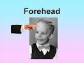 "Body parts" Picture Dictionary (English Version) - free flv video @ vwatch.tv