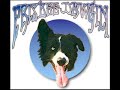 Dawgin: Sidelines, Pre Game &amp; Halftime Frisbee Dog Shows