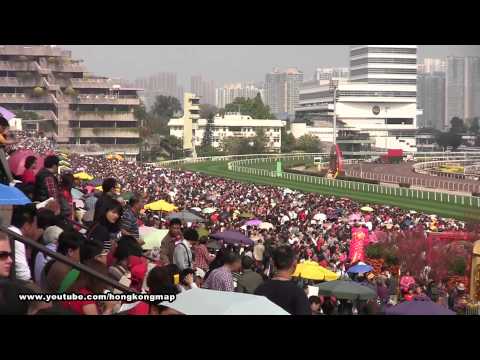 horse racing