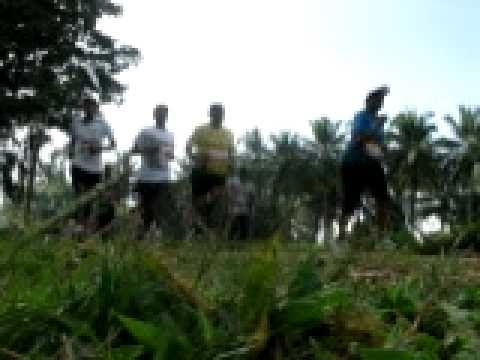 runners and riders