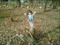 American   Girl   Doll  Memories