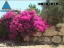 Infolive.tv Minute - Breathtaking Views From Karmei Yosef, A