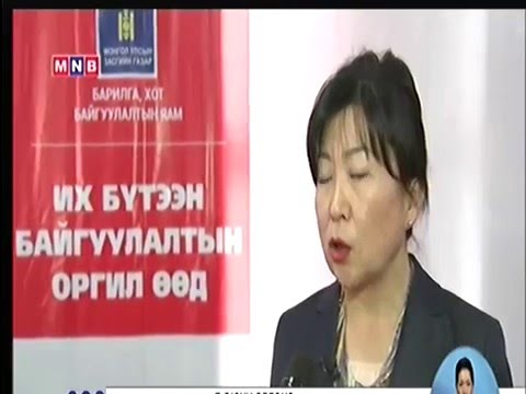 Урьдчилгаа төлбөрийн 10 хувьд манай яам баталгаа гаргана