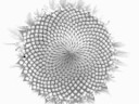 CiCloS BY JHON PSYMURFF -NATURAL FREQUENCY CiCloS BY JHON PSYMURFF -NATURAL FREQUENCY