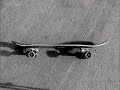 Skate fixe