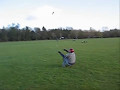 Crazy-Jumps