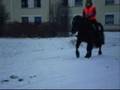 Pulka med Mindy!