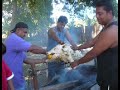 The Pig Roast Part 1