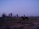 videos de Brand New Saddle!!