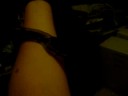 Monty, friends Ball Python :)
