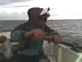 remando en la salada