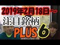 【株TubeEXTRA#9】2019年2月18日～の注目銘柄PLUS6