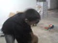 box sangriento part 1