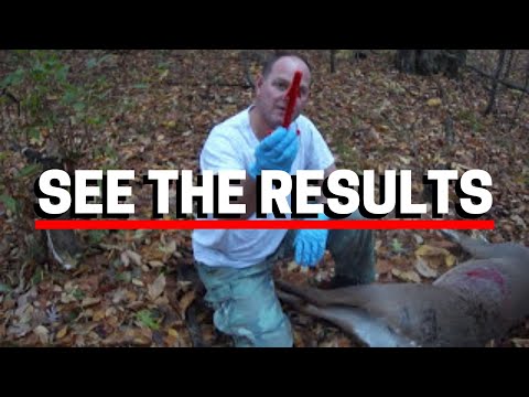 how to properly gut a buck