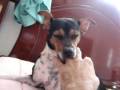 videos de julie