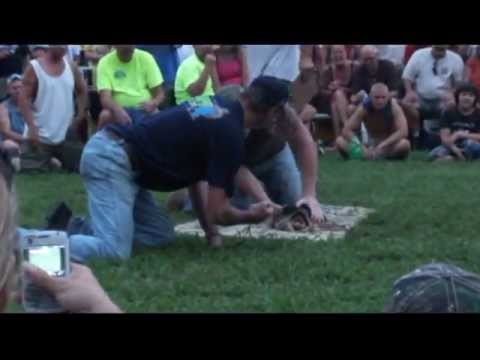 YouTube reptile video