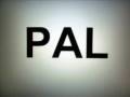 Palin=Pain