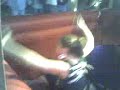 it was leah's last night as a daisy dukes girl. this is their first attempt at riding the bull together.
