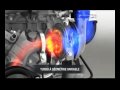 Engine DCi 130 Renault