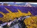 Coreografia della Fiesole per Fiorentina-Juventus il 4/12/05
