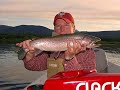 rainbow fly fishing in British Columbia and Alberta