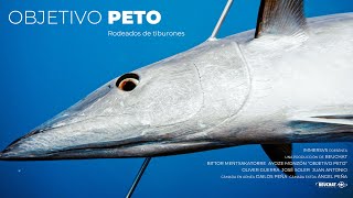 🔱SPEARFISHING in Canary Islands WAHOO MISSION -