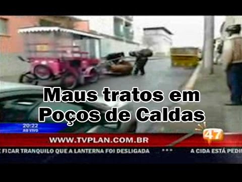 Clayson Felizola denuncia maus tratos a animais em Poços de Caldas - MG