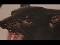 What in the world is a Tasmanian Devil? What in the world is a Tasmanian Devil?