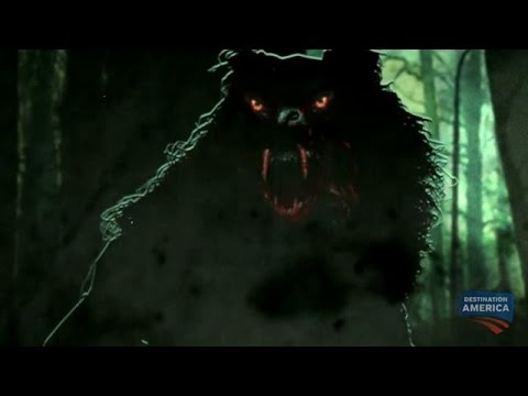 Watch Curse Of The Swamp Creature Download Full Watch Curse Of The Swamp Creature Download Full