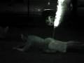 Anal-fireworks