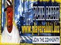 webisode # 5: como 4 of july parade