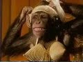 Monkey-ed Movie: Evita