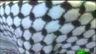 حكايتي - مخيم البرج الشمالي