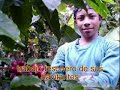 beneficio de caf� alma rosa trojes el para�so honduras
