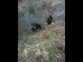 JT climbs a mountain