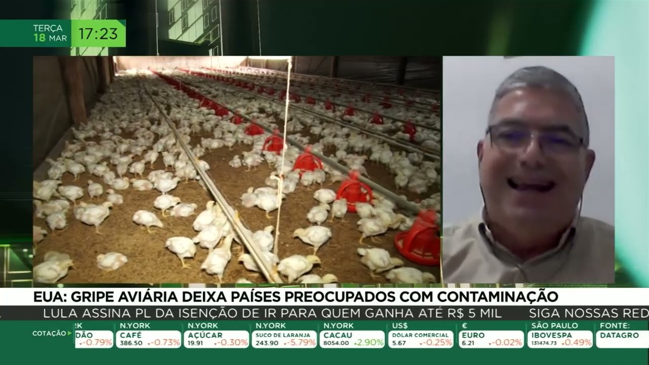 EUA: gripe aviária deixa países preocupados com contaminação