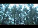 2008-07-05 | I Grieve, Peter Gabriel ~> story of sadness. ... sad, grief, peter, gabriel, car crash, dead, film, home made, happy, regret, silly, ... (05:29)