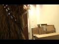 videos de Everybody Loves Chewbacca
