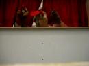 puppets puppets