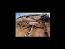 Matthew Shepard Tribute
