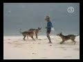 Risate sulla spiaggia